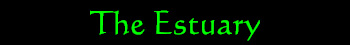 Graphic design for the Estuary . . .